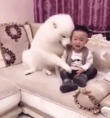 135图像