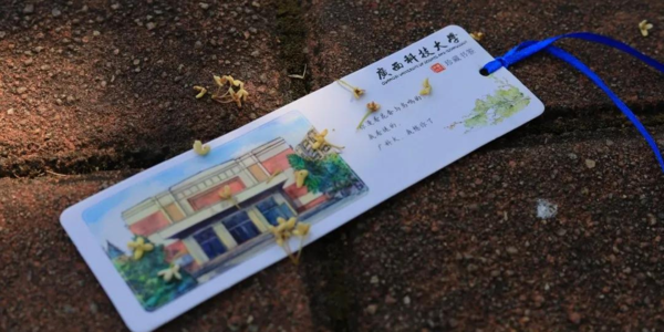 广西科技.png