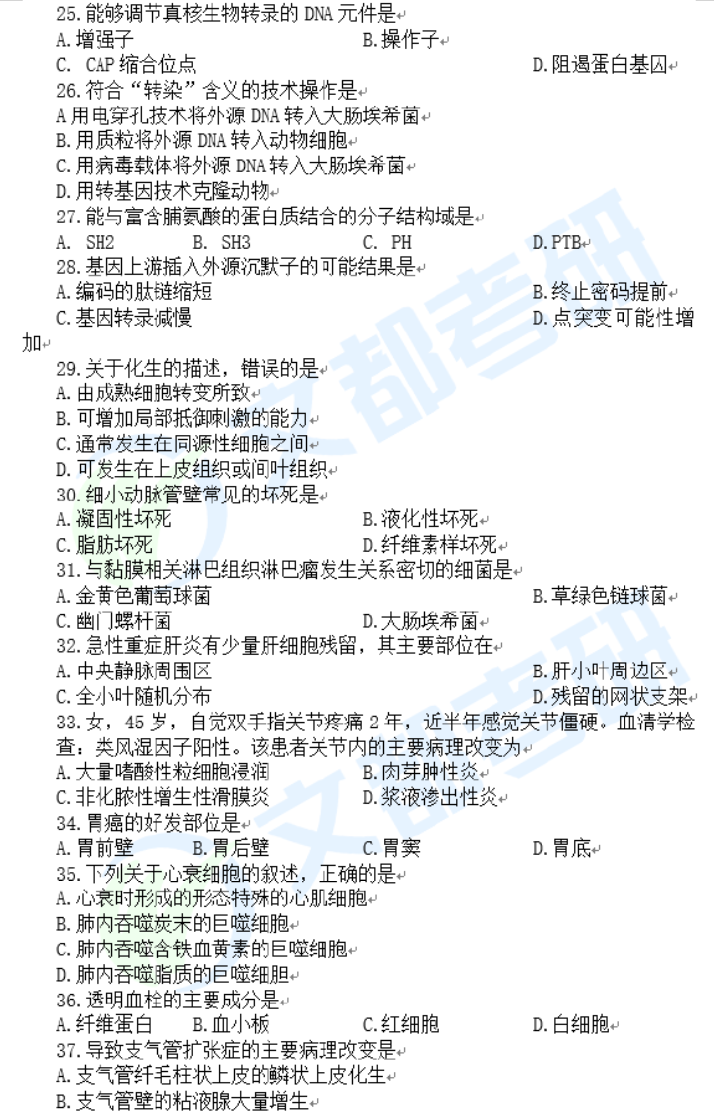 西综3.png