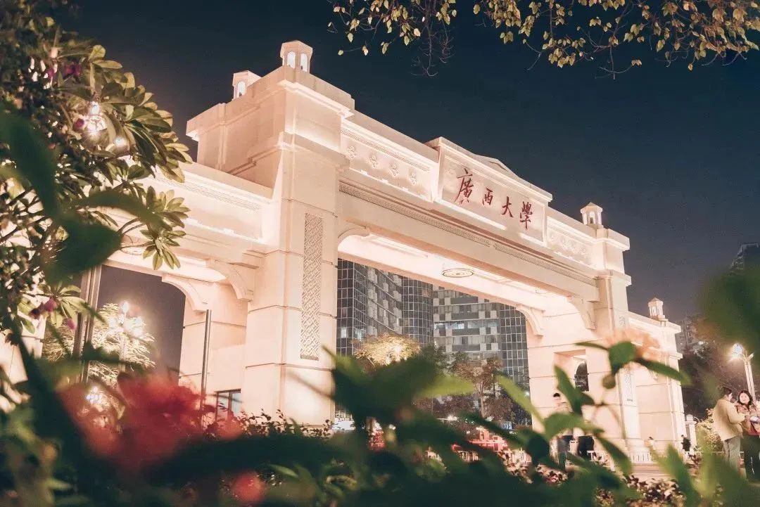 广西大学国际商务硕士,24考研最新招生录取情况!